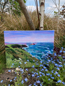 Looking towards Godrevy